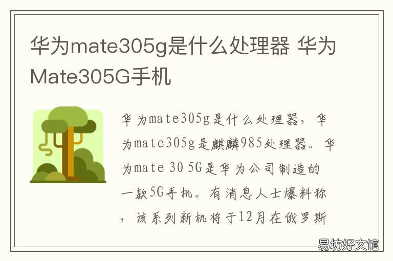 华为mate305g是什么处理器