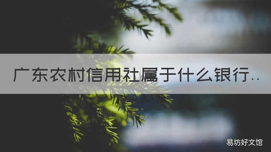 广东农村信用社属于什么银行 广东农村信用社属于什么银行性质