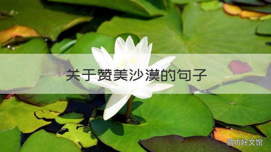 关于赞美沙漠的句子 赞美沙漠的美句