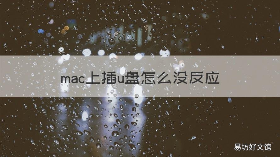 mac上插u盘怎么没反应 mac电脑u盘插上没反应