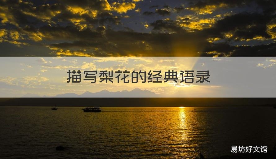 描写梨花的经典语录 关于梨花的语句