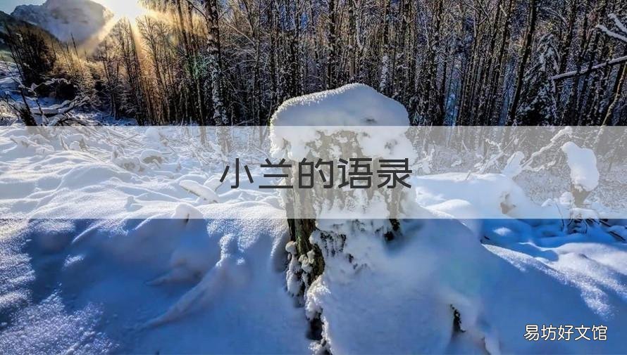 小兰的语录 新一对小兰的经典语录