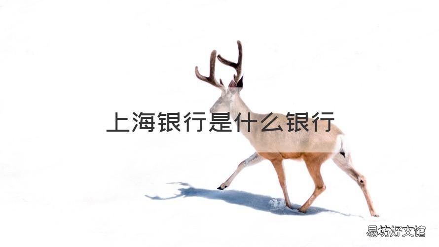 上海银行是什么银行 上海银行是上海的吗