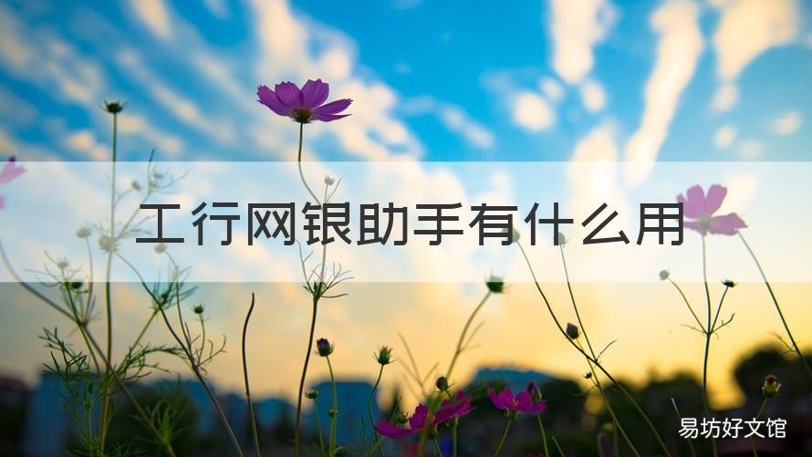 工行网银助手有什么用 工行网银助手客服电话