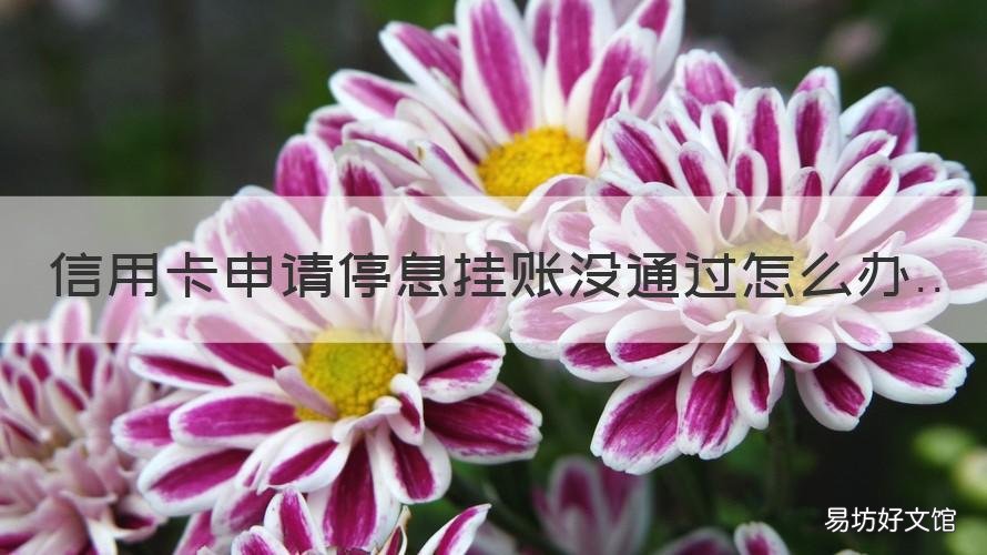 信用卡申请停息挂账没通过怎么办 向信用卡提出停息挂账银行不同意怎么办