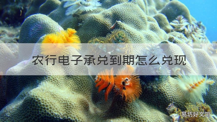 农行电子承兑到期怎么兑现 农商银行电子承兑到期怎么兑现