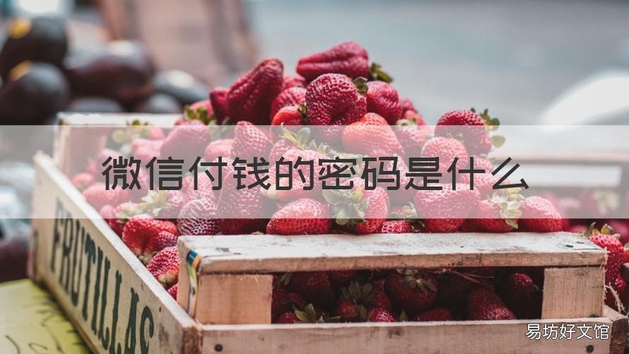 微信付钱的密码是什么 微信支付密码是啥密码