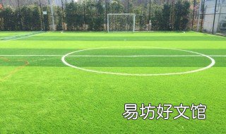 人造草坪的施工流程 人造草坪的施工流程圖
