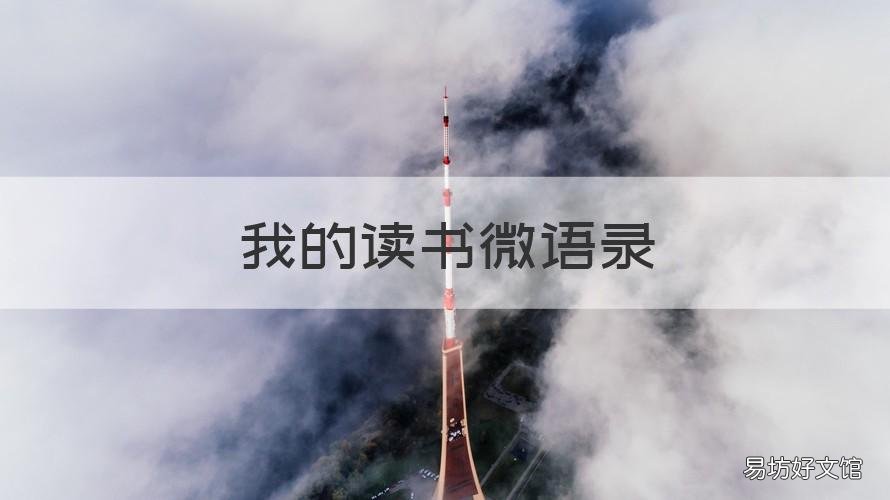 我的读书微语录 读书语录微博微博