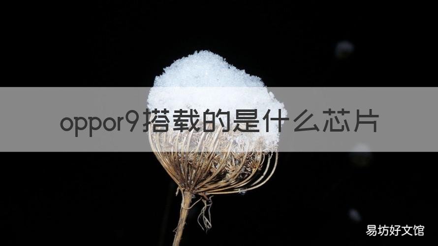 oppor9搭载的是什么芯片 oppoa9芯片是什么