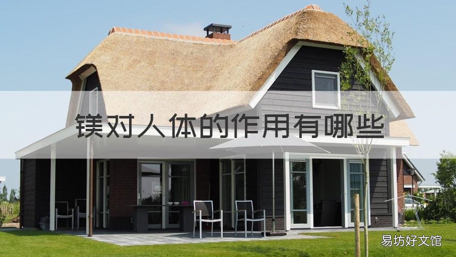 镁对人体的作用有哪些 关于镁对人体作用