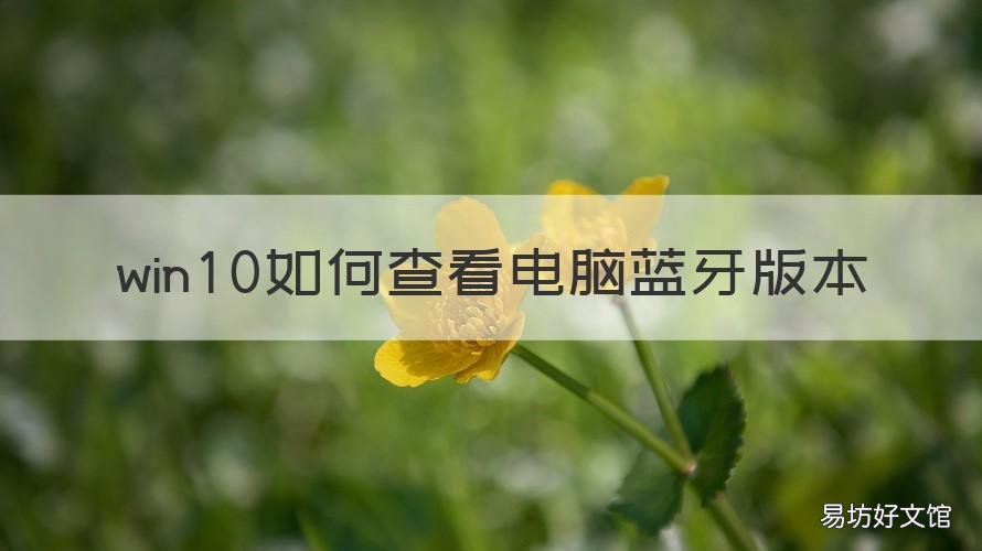 win10如何查看电脑蓝牙版本 win10怎么看电脑有没有蓝牙