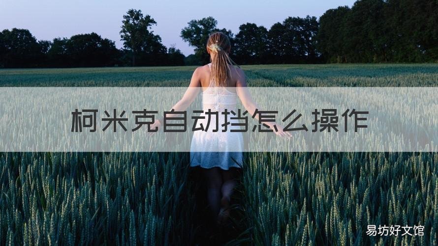 柯米克自动挡怎么操作 柯米克的档位怎么用