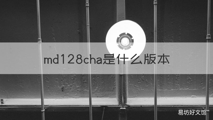 md128cha是什么版本 md236cha是什么版本