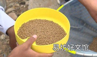 魚餌料怎么配 釣鯽魚餌料怎么配