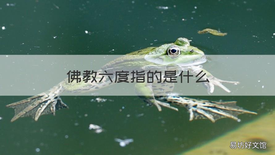 佛教六度指的是什么 佛教六度什么意思