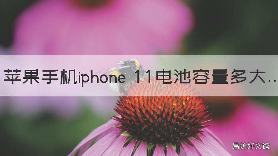苹果手机iphone 11电池容量多大 iphone 11电池多少容量