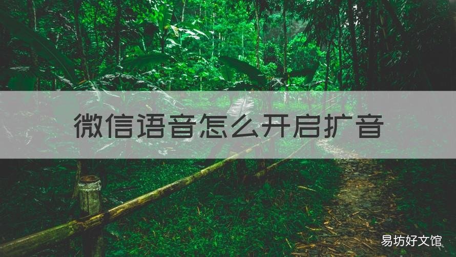 微信语音怎么开启扩音 微信语音怎么设置扩音