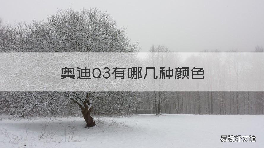 奥迪Q3有哪几种颜色 奥迪q3有几款颜色