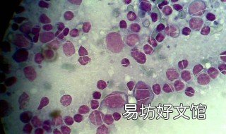 机体防卫体系的构成 机体防卫体系的构成包括
