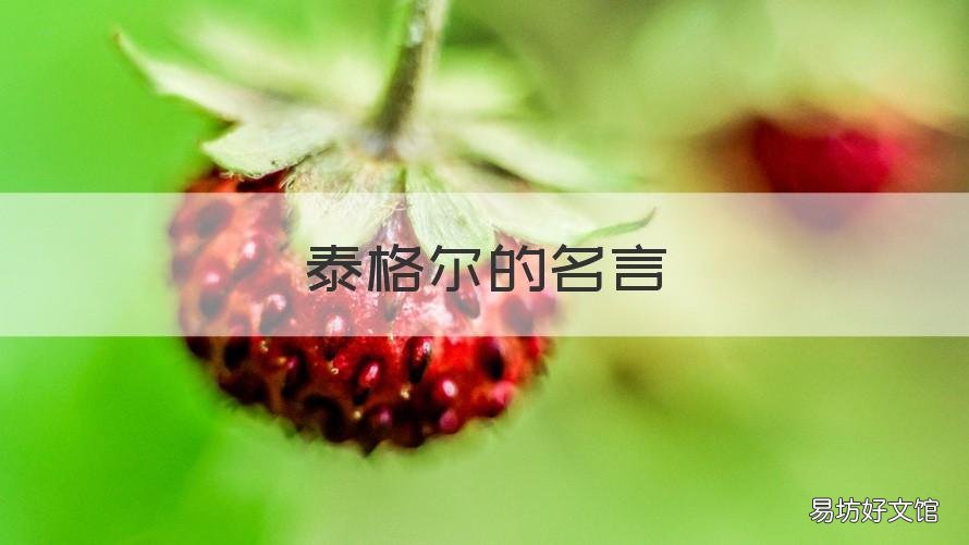 泰格尔的名言 泰格尔的名言,关于《飞鸟集》浮世