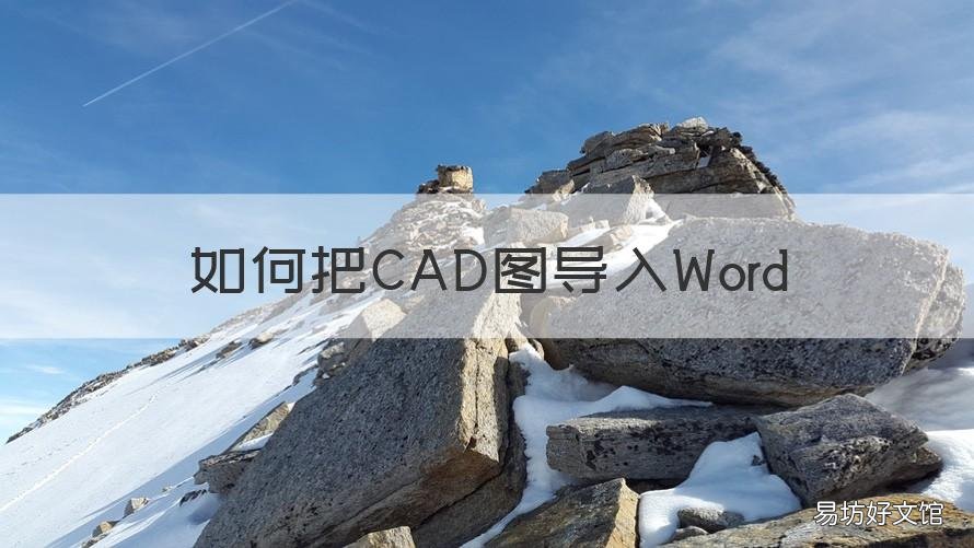 如何把CAD图导入Word 如何把CAD图导入word中