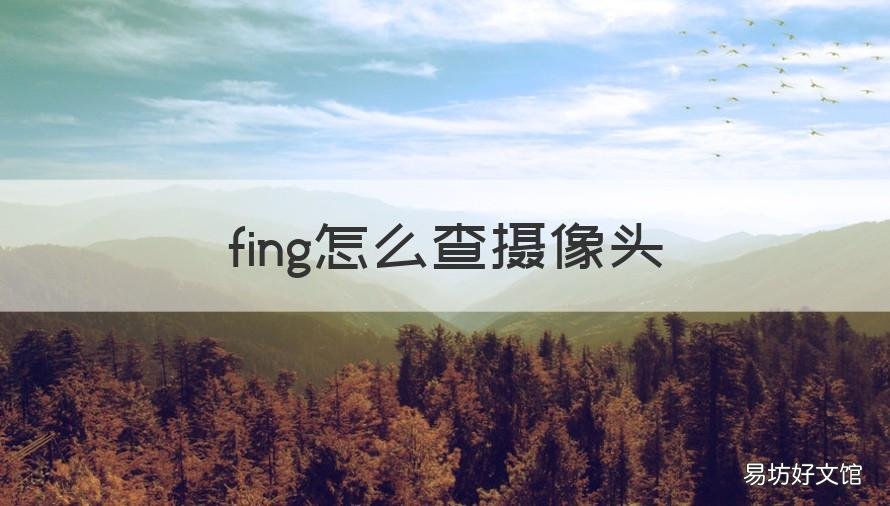 fing怎么查摄像头 fing上如何查看摄像头