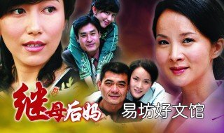 继母后妈电视剧大结局