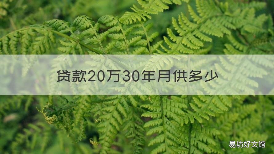 贷款20万30年月供多少 贷款20万30年月供多少怎样计算