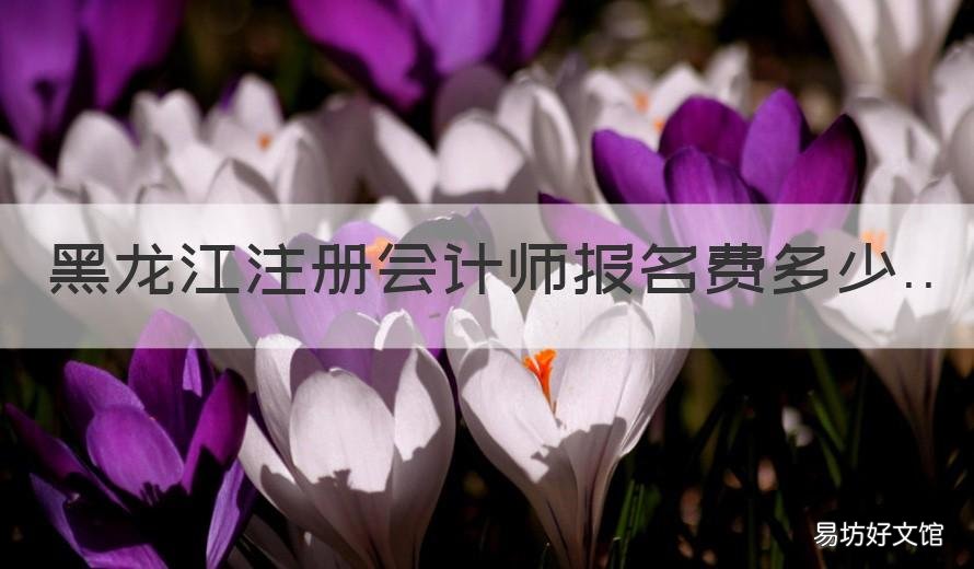 黑龙江注册会计师报名费多少 黑龙江省初级会计师报名