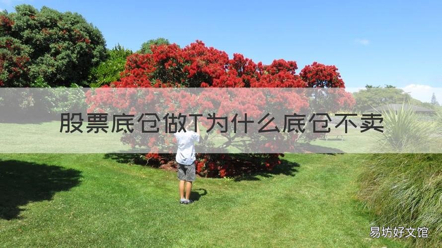 股票底仓做T为什么底仓不卖 买股票为什么留底仓
