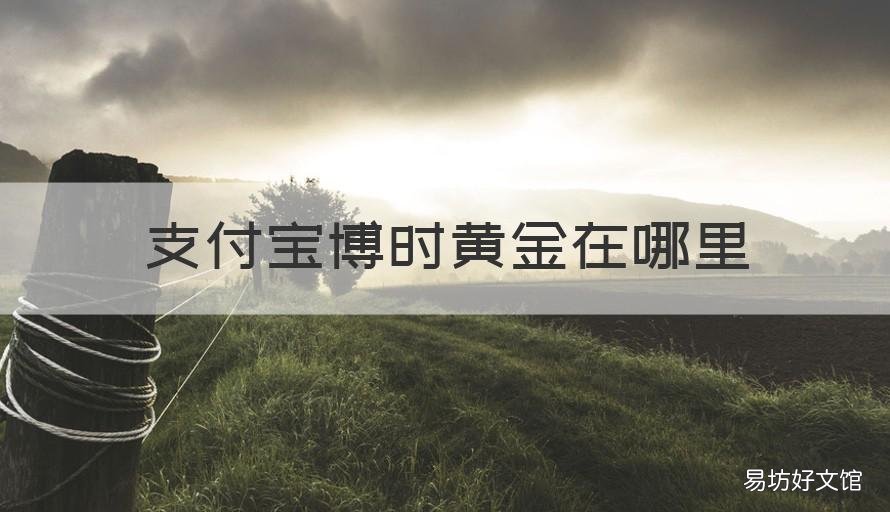 支付宝博时黄金在哪里 支付宝博时黄金可以兑换实物黄金