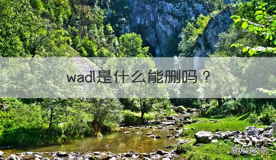 wadl是什么能删吗