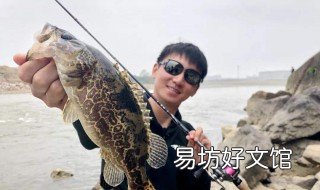 海竿钓鳜鱼最好的方法 钓鳜鱼用什么竿