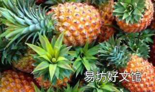海南菠蘿幾月份成熟 海南菠蘿蜜季節(jié)是什么時候成熟