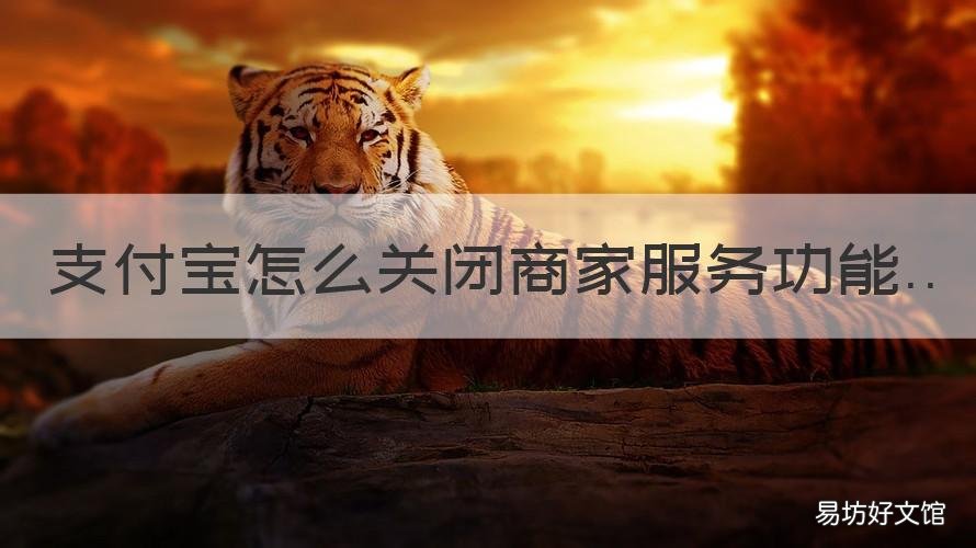 支付宝怎么关闭商家服务功能 支付宝怎么关闭商家服务功能设置