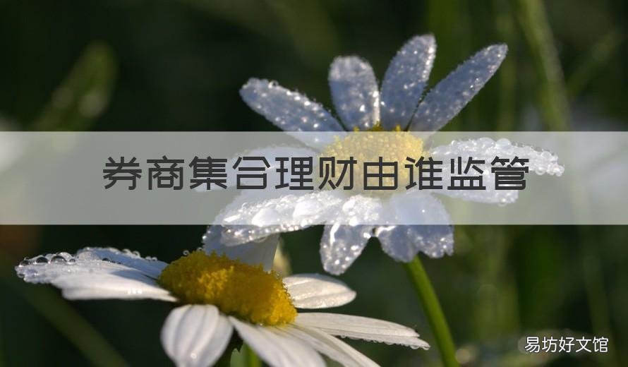 券商集合理财由谁监管 券商资管 大集合