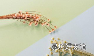 如何自我介绍范文 如何自我介绍范文中学生