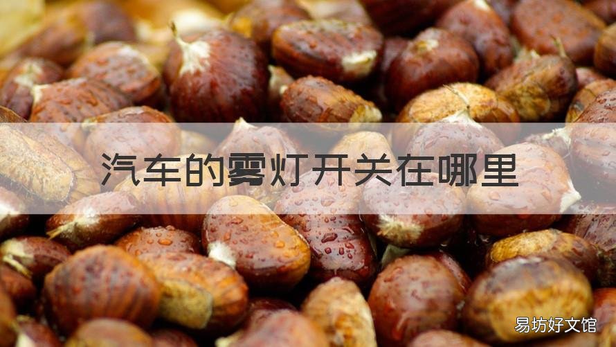 汽车的雾灯开关在哪里 车上雾灯开关在哪个位置