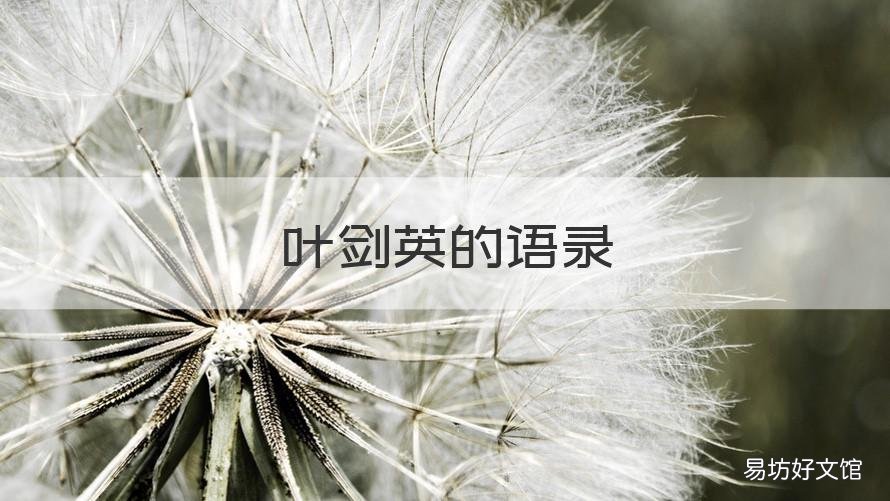 叶剑英的语录