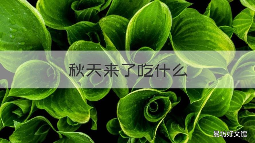 秋天来了吃什么 秋天来了吃什么菜好