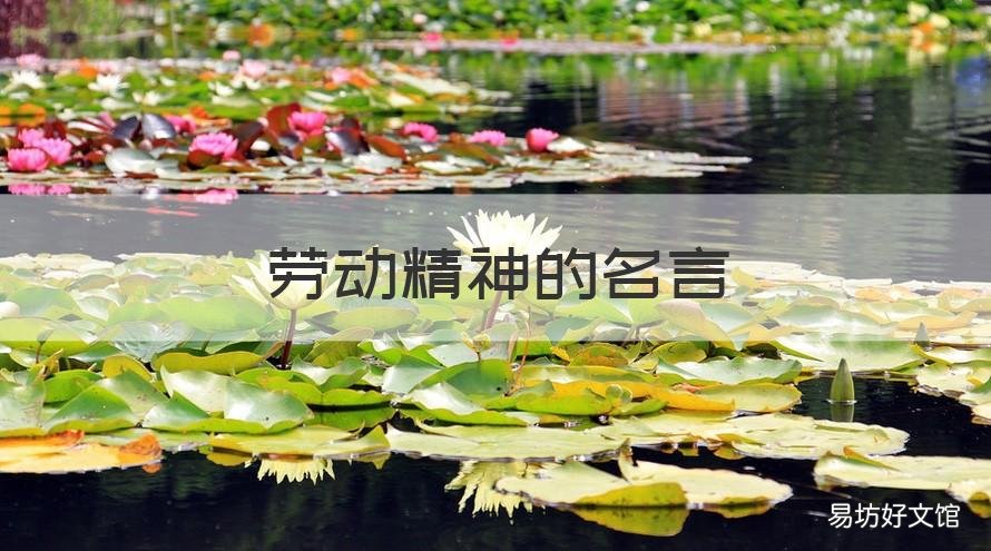 劳动精神的名言 关于劳动精神的名言名句