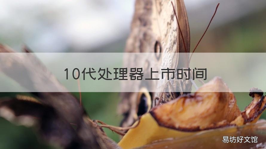 10代处理器上市时间 第十代处理器什么时候发布