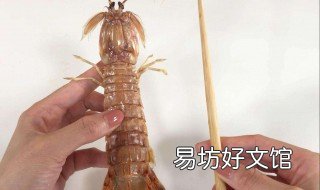 被虾刺到怎么处理 虾刺到怎么办