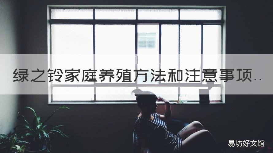 绿之铃家庭养殖方法和注意事项 绿之铃多肉怎么养