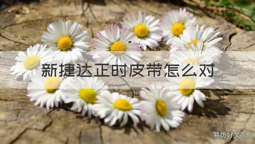 新捷达正时皮带怎么对 新捷达正时皮带对点