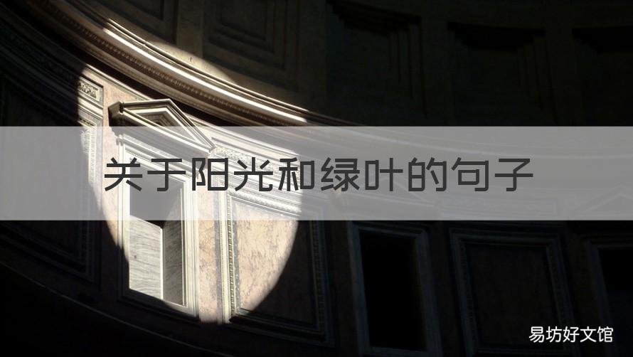 关于阳光和绿叶的句子 关于阳光下,绿叶,的句子