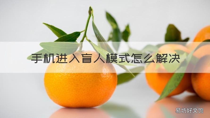 手机进入盲人模式怎么解决 手机进去盲人模式