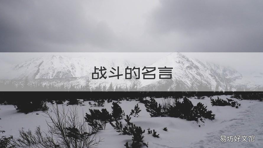 战斗的名言 战斗名言警句