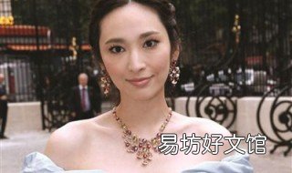 吴佩慈的女儿多少岁了 吴佩慈生了几个儿子